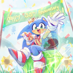 Size: 2000x2000 | Tagged: safe, artist:mintiiorweeos, sonic the hedgehog, 2026, anniversary, banner, birthday, bow, cape, chili dog, confetti, crown, cute, daytime, english text, flower, food, from below, grass, holding something, master emerald, mouth open, obtrusive watermark, outdoors, ribbon, shine, sitting, solo, sonabetes, sunflower, text, watermark, waving