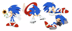 Size: 2048x886 | Tagged: safe, artist:thatbirdguy_, sonic the hedgehog, chao, 2026, character chao, dust clouds, flat colors, flower, holding something, lying down, one eye closed, rock, running, shadow chao, simple background, smile, solo, squiggle, sunflower, super peel-out, treads, white background