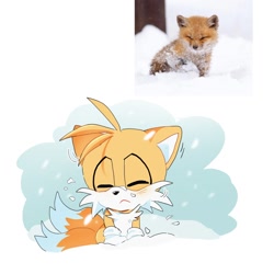 Size: 1280x1280 | Tagged: safe, artist:pupu77859245726, miles "tails" prower, fox, 2025, :<, animalistic behavior, cute, eyes closed, frown, reference inset, simple background, snow, solo, tailabetes, white background