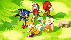 Size: 2048x1152 | Tagged: safe, artist:endyrendy, amy rose, cheese (chao), cream the rabbit, knuckles the echidna, miles "tails" prower, sonic the hedgehog, chao, 2026, arms folded, daytime, flower, from above, grass, group, looking up, mouth open, neutral chao, open smile, outdoors, rock, smile, sonic advance 3, standing, thumbs up, waving
