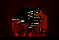 Size: 900x600 | Tagged: safe, artist:greatwhite studios, miles "tails" prower, 3d, building, crossover, front view, screencap, solo, street, the backrooms, tree