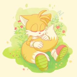 Size: 2034x2035 | Tagged: safe, artist:milordyobah, miles "tails" prower, fox, 2026, cute, eyes closed, floppy ears, flower, grass, holding something, holding tail, limited palette, male, mouth open, simple background, sitting, sleeping, solo, tailabetes, text, treads, zzz