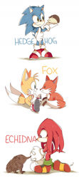 Size: 801x1800 | Tagged: safe, artist:piink-rose, knuckles the echidna, miles "tails" prower, sonic the hedgehog, echidna, fox, hedgehog, literal animal, male, simple background, white background
