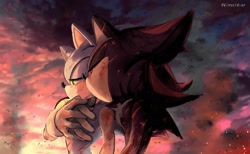 Size: 2048x1260 | Tagged: safe, artist:vinsoldier, shadow the hedgehog, sonic the hedgehog, 2026, blood, duo, gay, holding hands, hugging, hugging tail, injured, lidded eyes, scratch (injury), shadow x sonic, shipping, standing, wound