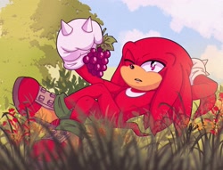 Size: 1843x1408 | Tagged: safe, artist:milordyobah, knuckles the echidna, 2026, clouds, daytime, food, fruit, grapes, grass, head rest, holding something, lying down, mouth open, one eye closed, outdoors, solo, tree