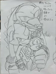 Size: 1537x2048 | Tagged: safe, artist:aoshibazakura95, charmy bee, espio the chameleon, vector the crocodile, 2026, greyscale, japanese text, looking at viewer, monochrome, mouth open, simple background, sketch, smile, team chaotix, traditional media, trio, v sign
