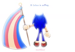 Size: 1610x1133 | Tagged: safe, artist:knucklehead_xx, sonic the hedgehog, 2026, english text, flag, from behind, holding something, positivity, pride, pride flag, pride month, simple background, solo, standing, text, trans pride, white background