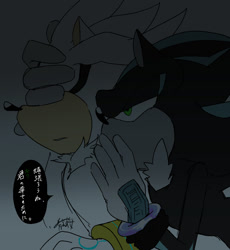 Size: 1000x1086 | Tagged: safe, artist:aoshibazakura95, mephiles the dark, silver the hedgehog, 2024, covering another's eyes, duo, hand on another's face, japanese text, lidded eyes, looking at them, speech bubble