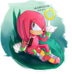 Size: 882x906 | Tagged: safe, artist:misaginus, knuckles the echidna, echidna, knuckles chaotix, gloves, male, shoes, sitting, smile