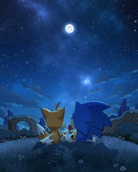 Size: 1280x1595 | Tagged: safe, artist:tc-96, miles "tails" prower, sonic the hedgehog, fox, hedgehog, green hill zone, 2026, bush, clouds, duo, flower, from behind, grass, holding hands, looking offscreen, loop, male, moon, nighttime, orange brown checkerboard, outdoors, redraw, siblings, star (sky)