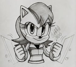 Size: 2048x1791 | Tagged: safe, artist:ch1b1k0, sally acorn, chipmunk, 2026, clenched fists, digital static, female, greyscale, looking at viewer, monochrome, pencilwork, signature, smile, solo, traditional media, weapon