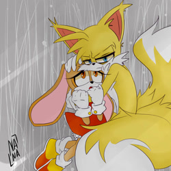Size: 894x894 | Tagged: safe, artist:nanalabell, cream the rabbit, miles "tails" prower, fox, rabbit, abstract background, duo, female, frown, hand on another's head, holding them, male, mouth open, protecting, squinting