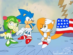 Size: 4000x3000 | Tagged: safe, artist:emeraldz, cosmo the seedrian, miles "tails" prower, sonic the hedgehog, hedgehog, seedrian, adventures of sonic the hedgehog, 2026, 4th of july, alternate version, american flag, country flag, daytime, eyes closed, female, grin, looking at them, looking offscreen, male, pose, redraw, salute, smile, standing, trio