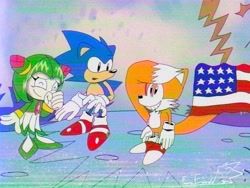 Size: 4000x3000 | Tagged: safe, artist:emeraldz, cosmo the seedrian, miles "tails" prower, sonic the hedgehog, hedgehog, seedrian, adventures of sonic the hedgehog, 2026, 4th of july, alternate version, american flag, country flag, daytime, eyes closed, female, grin, looking at them, looking offscreen, male, pose, redraw, salute, smile, standing, trio, vhs filter