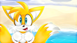 Size: 1024x576 | Tagged: safe, artist:prince-lionel, miles "tails" prower, fox, daytime, looking at viewer, male, mouth open, open smile, outdoors, smile, smiling at viewer, solo, water