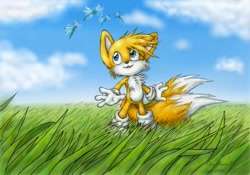Size: 1146x804 | Tagged: safe, artist:nocturnalmoth, miles "tails" prower, 2006, abstract background, clouds, cute, daytime, dragonfly, field, flapping wings, flying, grass, literal animal, looking at something, mid-air, outdoors, smile, solo, standing, summer, tailabetes