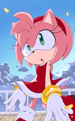Size: 1259x2048 | Tagged: safe, artist:frogfroggs, amy rose, hedgehog, 2026, :o, clouds, daytime, female, looking offscreen, mouth open, outdoors, railing, solo, walking