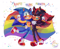 Size: 2048x1707 | Tagged: safe, artist:applestrubelle, shadow the hedgehog, sonic the hedgehog, 2026, bisexual, bisexual pride, confetti, duo, english text, face paint, frown, gay, heart, holding something, lidded eyes, looking at viewer, mlm pride, pride, pride flag, pride month, shadow x sonic, shipping, smile, standing, standing on one leg, text, wink