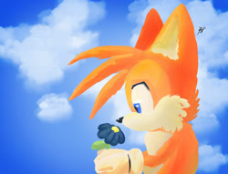 Size: 1280x977 | Tagged: safe, artist:thebeamerut, miles "tails" prower, fox, 2026, clouds, daytime, flower, holding something, lineless, looking at something, male, signature, solo