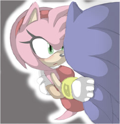 Size: 800x824 | Tagged: safe, artist:shira hedgie, amy rose, sonic the hedgehog, hedgehog, 2010, amy x sonic, border, carrying them, duo, female, grey background, looking at them, male, outline, shipping, simple background, straight