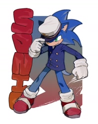 Size: 1321x1678 | Tagged: safe, artist:emptyloong1, sonic the hedgehog