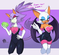 Size: 2000x1863 | Tagged: safe, artist:skyversa, blaze the cat, rouge the bat, geometric background, outfit swap, rouge's heart top, watermark