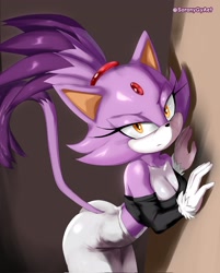 Size: 1648x2048 | Tagged: suggestive, artist:soranygyart, blaze the cat