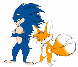 Size: 1280x1096 | Tagged: safe, artist:gunzcon, miles "tails" prower, sonic the hedgehog, fox, hedgehog, 2017, arm fluff, arms folded, barefoot, big ears, chest fluff, claws, duo, duo male, ear fluff, eyebrow fluff, flat colors, fluffy, frown, fur markings, gloves off, hands on hips, lidded eyes, looking at viewer, male, males only, one fang, pawpads, paws, redesign, signature, simple background, smile, smiling at viewer, standing, tail fluff, whiskers, white background