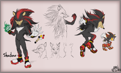 Size: 1024x622 | Tagged: safe, artist:siscocentral, shadow the hedgehog, hedgehog, 2013, aura, border, character name, clenched fist, frown, grey background, male, redesign, reference sheet, signature, simple background, solo, solo male, text