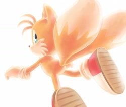 Size: 1568x1330 | Tagged: safe, artist:ra_ra_111, miles "tails" prower, fox, 2018, backlighting, blushing, featureless butt, frown, looking at viewer, looking back, looking back at viewer, male, simple background, solo, treads, white background