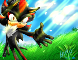 Size: 900x700 | Tagged: safe, artist:xnir0x, shadow the hedgehog, hedgehog, 2010, chest fluff, clouds, daytime, gloves off, grass, lineless, male, outdoors, reaching out, signature, smile, solo