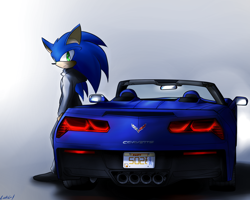 Size: 1500x1200 | Tagged: safe, artist:endjfcar, sonic the hedgehog, hedgehog, 2015, car, chevrolet, chevrolet corvette, clothes, corvette c7, english text, fully clothed, hoodie, leaning on something, looking at viewer, male, pants, pose, roadster, shoes, simple background, solo, sport car, standing, vehicle