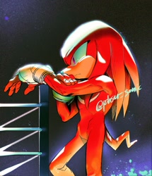 Size: 1442x1675 | Tagged: safe, artist:panhaley54803, knuckles the echidna, echidna, alternate gloves, fingerless gloves, male, signature, solo, standing