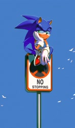 Size: 1789x3040 | Tagged: safe, artist:panhaley54803, sonic the hedgehog, bird, daytime, english text, head rest, lidded eyes, literal animal, male, outdoors, road sign, sign, sitting, smile, solo