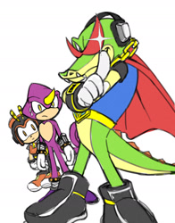Size: 1200x1530 | Tagged: safe, artist:marimo838, charmy bee, espio the chameleon, vector the crocodile, cape, looking at each other, simple background, standing, sunglasses, sweat, team chaotix, trio, vectorman, white background
