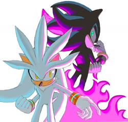 Size: 1248x1182 | Tagged: safe, artist:3i8akira, mephiles the dark, silver the hedgehog