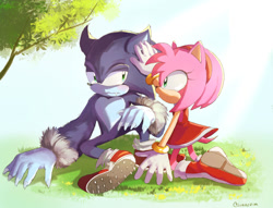 Size: 1024x781 | Tagged: safe, artist:lunaerim, amy rose, sonic the hedgehog, hedgehog, daytime, duo, female, grass, hand on another's head, kneeling, looking at each other, male, outdoors, sitting, sonic the werehog, treads