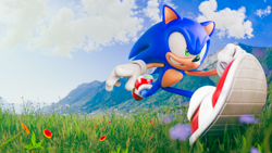 Size: 3840x2160 | Tagged: safe, artist:3d-eve, sonic the hedgehog, hedgehog, 2026, 3d, absurd res, clenched teeth, clouds, daytime, flower, grass, looking offscreen, male, outdoors, poppy (flower), running, smile, solo, treads