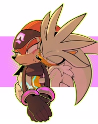 Size: 2289x2904 | Tagged: safe, artist:mariaartes51, shade the echidna, silver the hedgehog