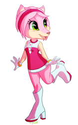Size: 493x783 | Tagged: safe, artist:c-puff, amy rose, hedgehog, clothes, dress, female