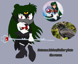 Size: 984x812 | Tagged: safe, artist:moonsonic1, bow, bowtie, clothes, female, irl, magical girl, mobianified, raven, sailor moon, setsuna meiou, skirt, solo
