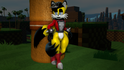 Size: 1280x720 | Tagged: safe, artist:initialdriftbro, miles (anti-mobius), fox, green hill zone, 2023, 3d, black gloves, boots, bottomless, clothes, clouds, eyeshadow, gloves, grass, hand on hip, leaning, lidded eyes, looking offscreen, male, mouth open, orange brown checkerboard, outdoors, palm tree, sfm, solo, spiked bracelet, standing, sweater, thick thighs, totem pole, tree