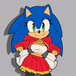 Size: 2048x2048 | Tagged: safe, artist:nikkikaji, sonic the hedgehog, hedgehog, 2026, alternate outfit, cleavage, clothes, crop top, duo, eyelashes, female, flat colors, gender swap, gloves, grey background, hands on hips, hood, jacket, midriff, shadow (lighting), simple background, skirt, smile, socks, stockings, zip