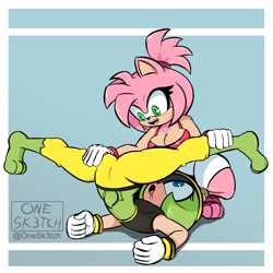 Size: 3500x3500 | Tagged: suggestive, artist:0ne-sketch, amy rose, surge the tenrec