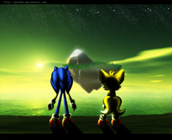 Size: 1000x813 | Tagged: safe, artist:qwisse, miles "tails" prower, sonic the hedgehog, 2011, duo, from behind, island, lineless, ocean, outdoors, standing, star (sky), water