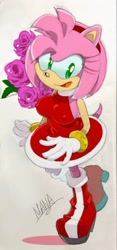 Size: 960x2048 | Tagged: safe, artist:mana_ita, amy rose