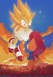 Size: 1424x2048 | Tagged: safe, artist:jadepesky, sally acorn, sonic the hedgehog, super sonic, chipmunk, hedgehog, 2026, cloud, duo, female, floating, flower, flower field, heart, holding something, looking at each other, male, outdoors, sally x sonic, sally's vest and boots, shipping, smiling at them, sparkles, standing, star (sky), straight, super form