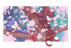Size: 3293x2226 | Tagged: safe, artist:marimo838, shadow the hedgehog, sonic the hedgehog, hedgehog, border, daytime, duo, flower, frown, male, outdoors, plant, shadow (lighting), sitting, smile, tree, white border