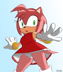 Size: 1305x1500 | Tagged: suggestive, artist:pequeno_bribon, amy rose