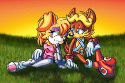 Size: 900x600 | Tagged: safe, artist:bellseashell, antoine d'coolette, bunnie rabbot, coyote, rabbit, 2014, buntoine, cybernetic, cyborg tails, duo, female, grass, grass field, looking at each other, male, outdoors, shipping, sitting, smile, smiling at each other, straight, sunset, watermark